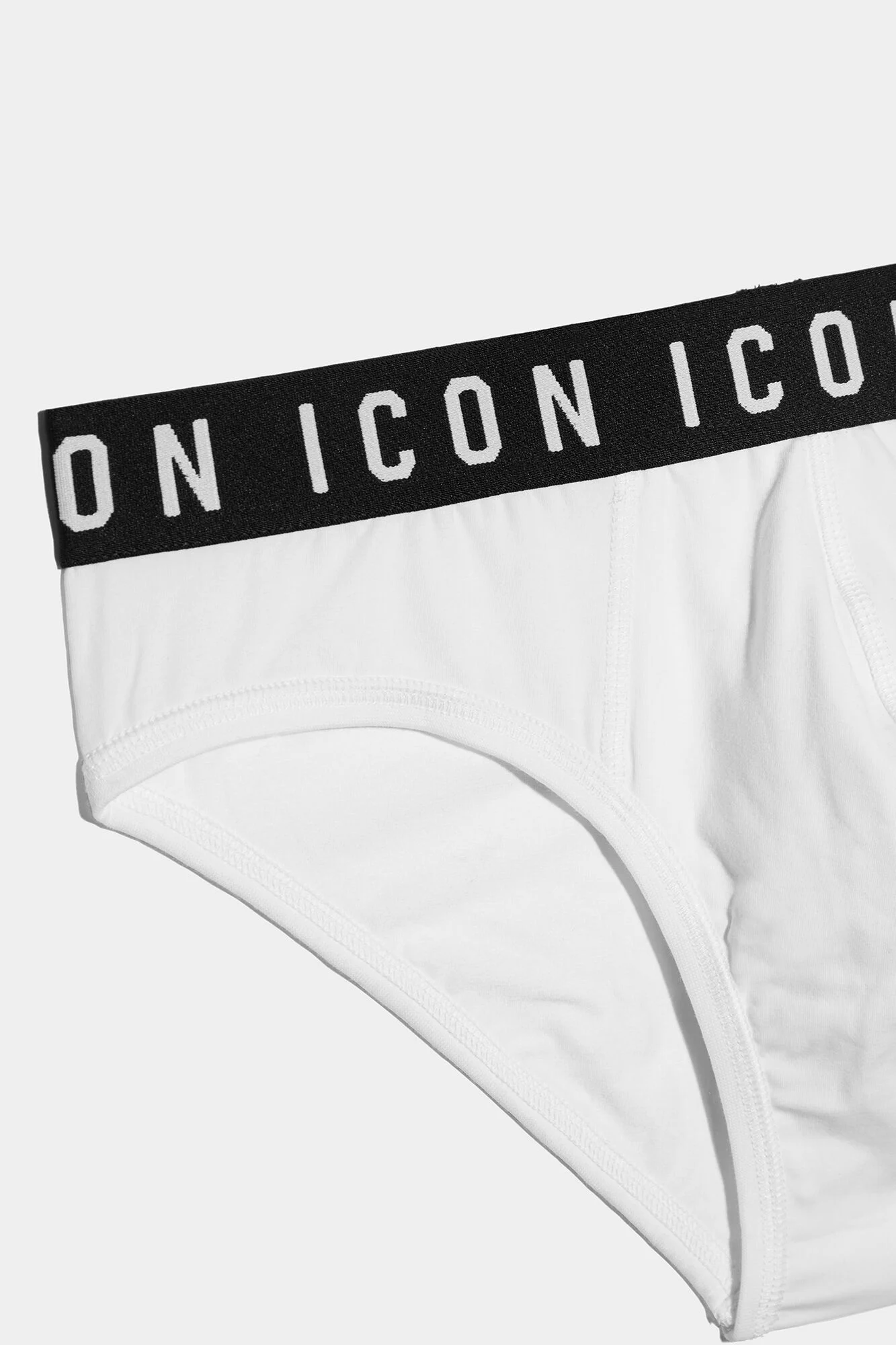 Icon Brief