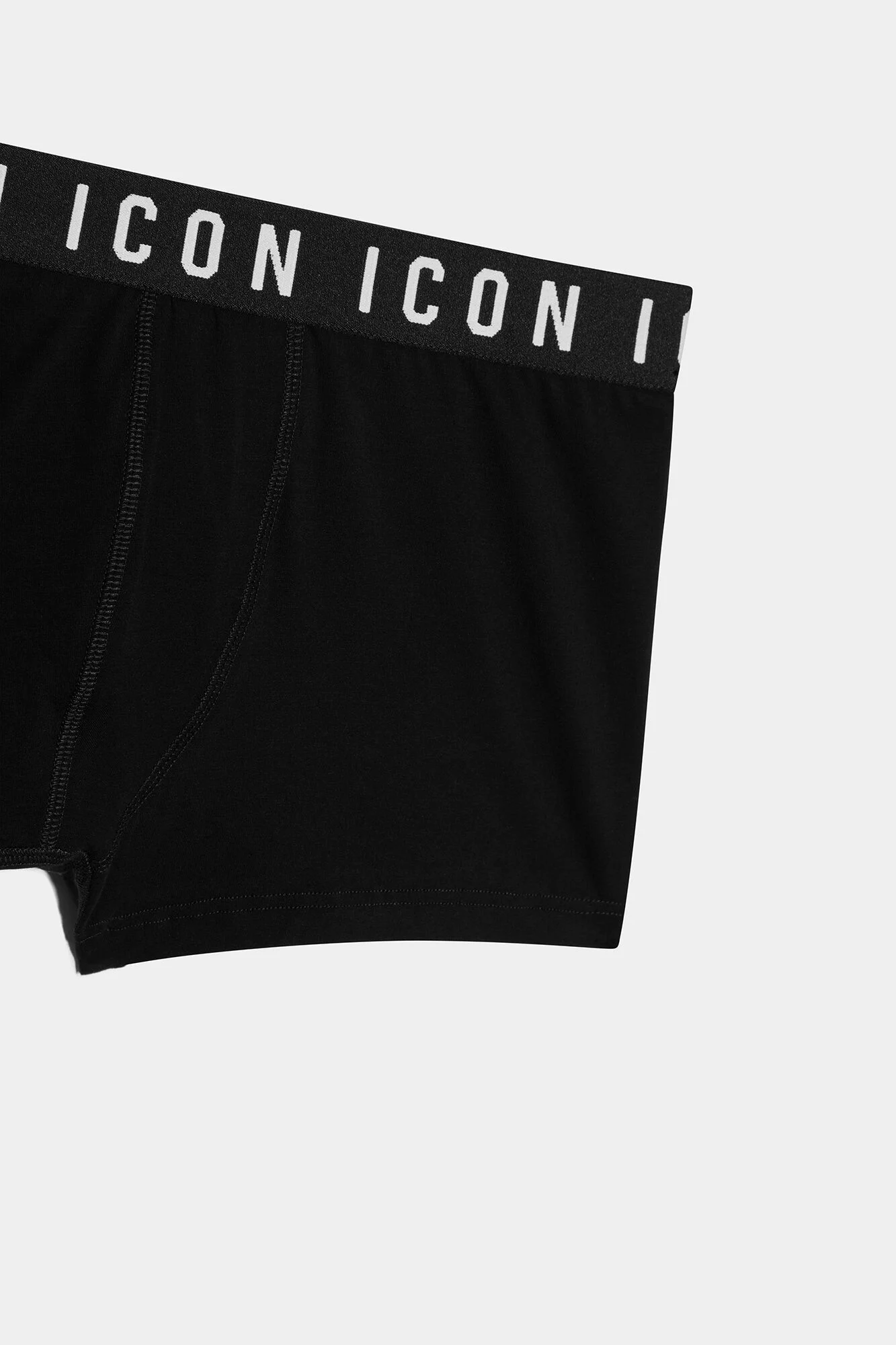 Icon Trunk