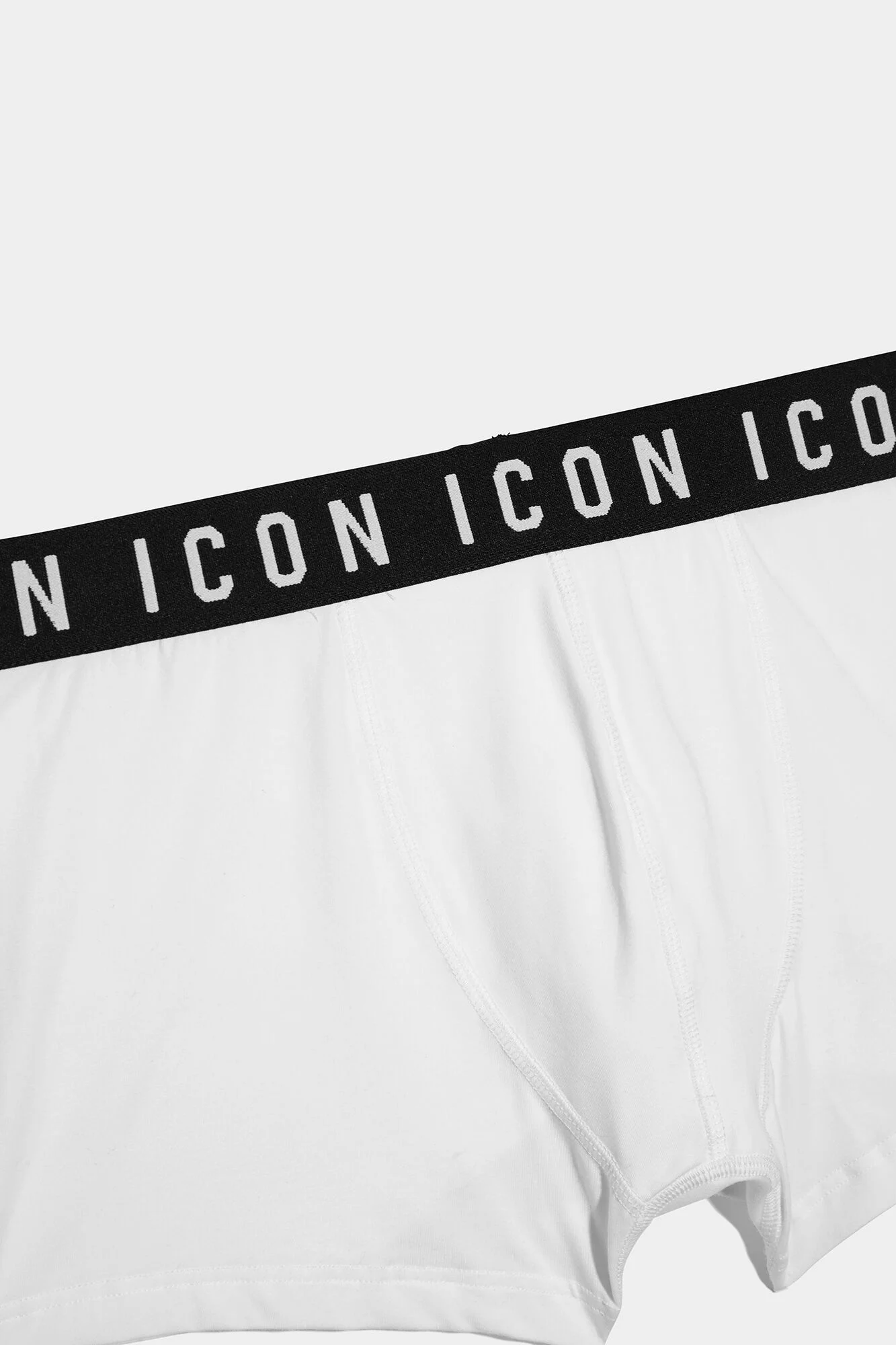 Icon Trunk