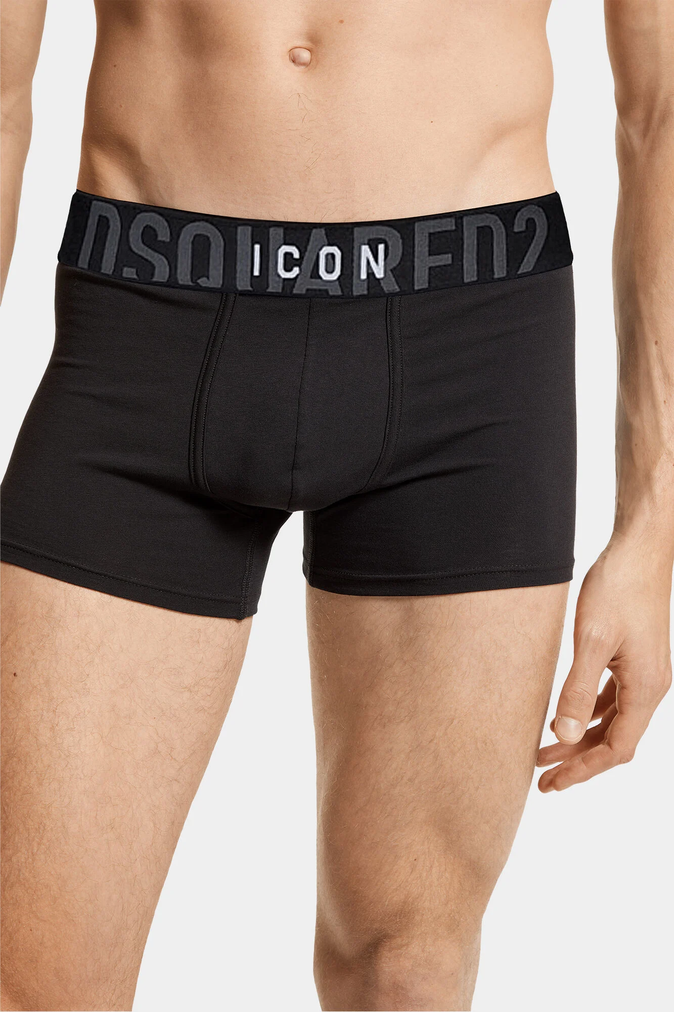 Icon Trunk