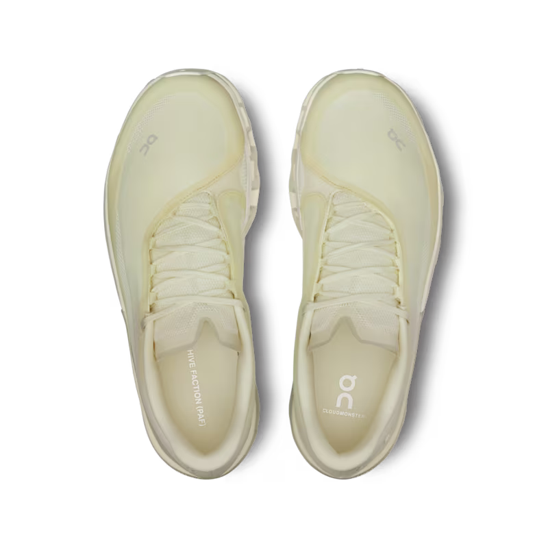 Men's Cloudmonster 2 PAF