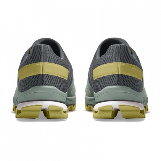 surfer 3.0 Eucalyptus Citron