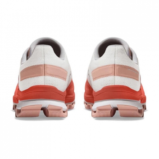surfer 3.0 Rust Rose