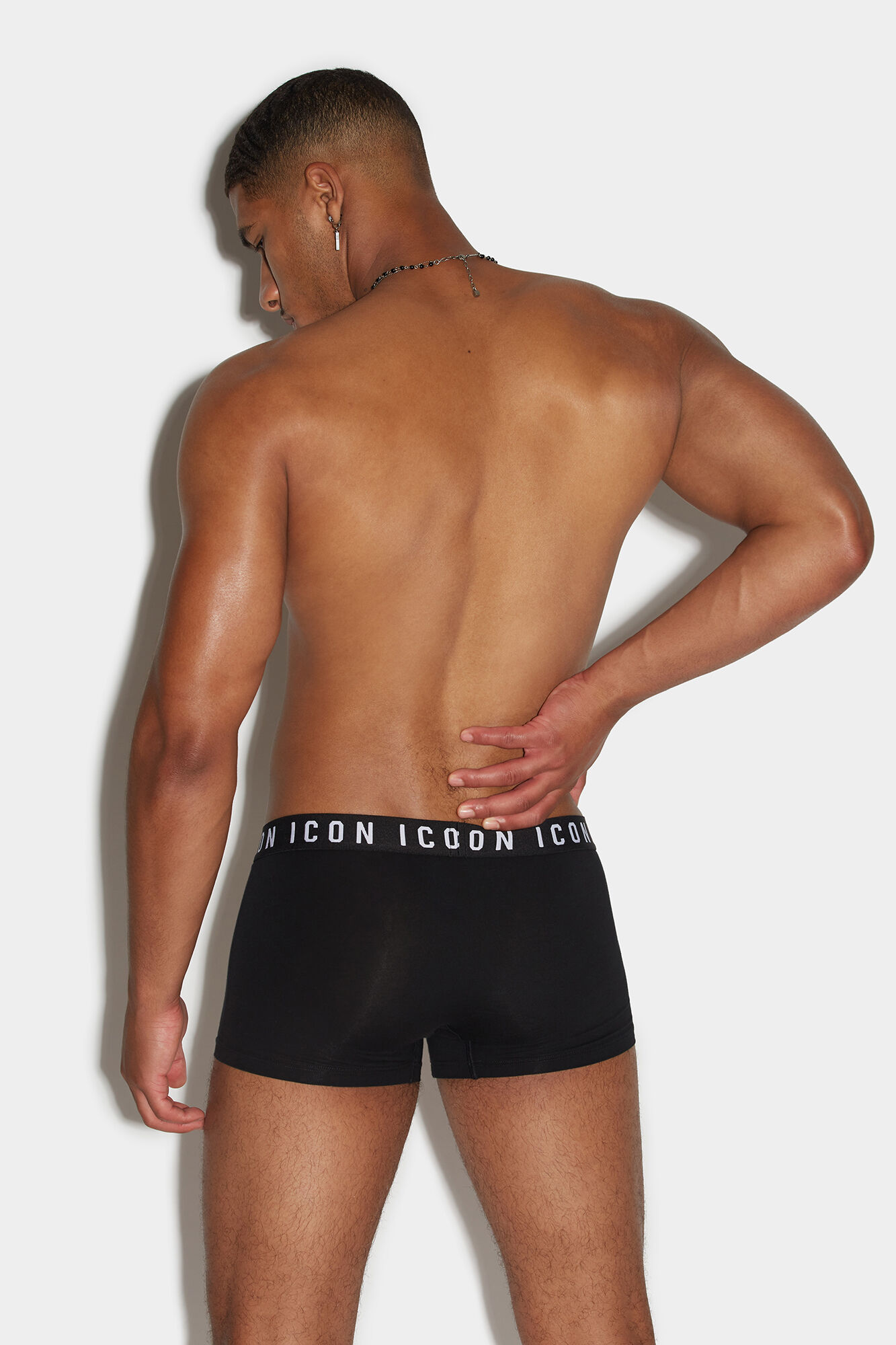 Icon Trunk