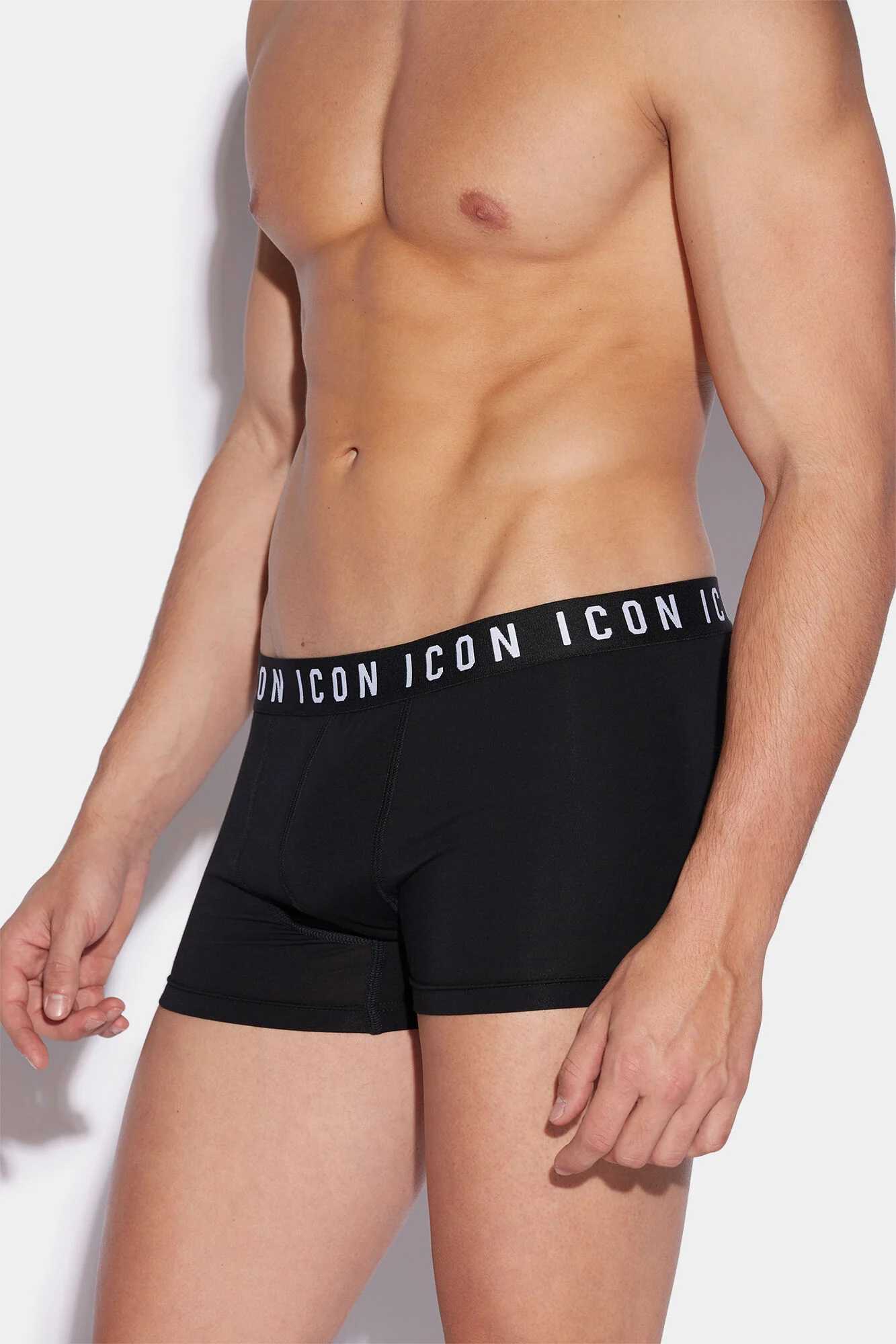 Icon Trunk