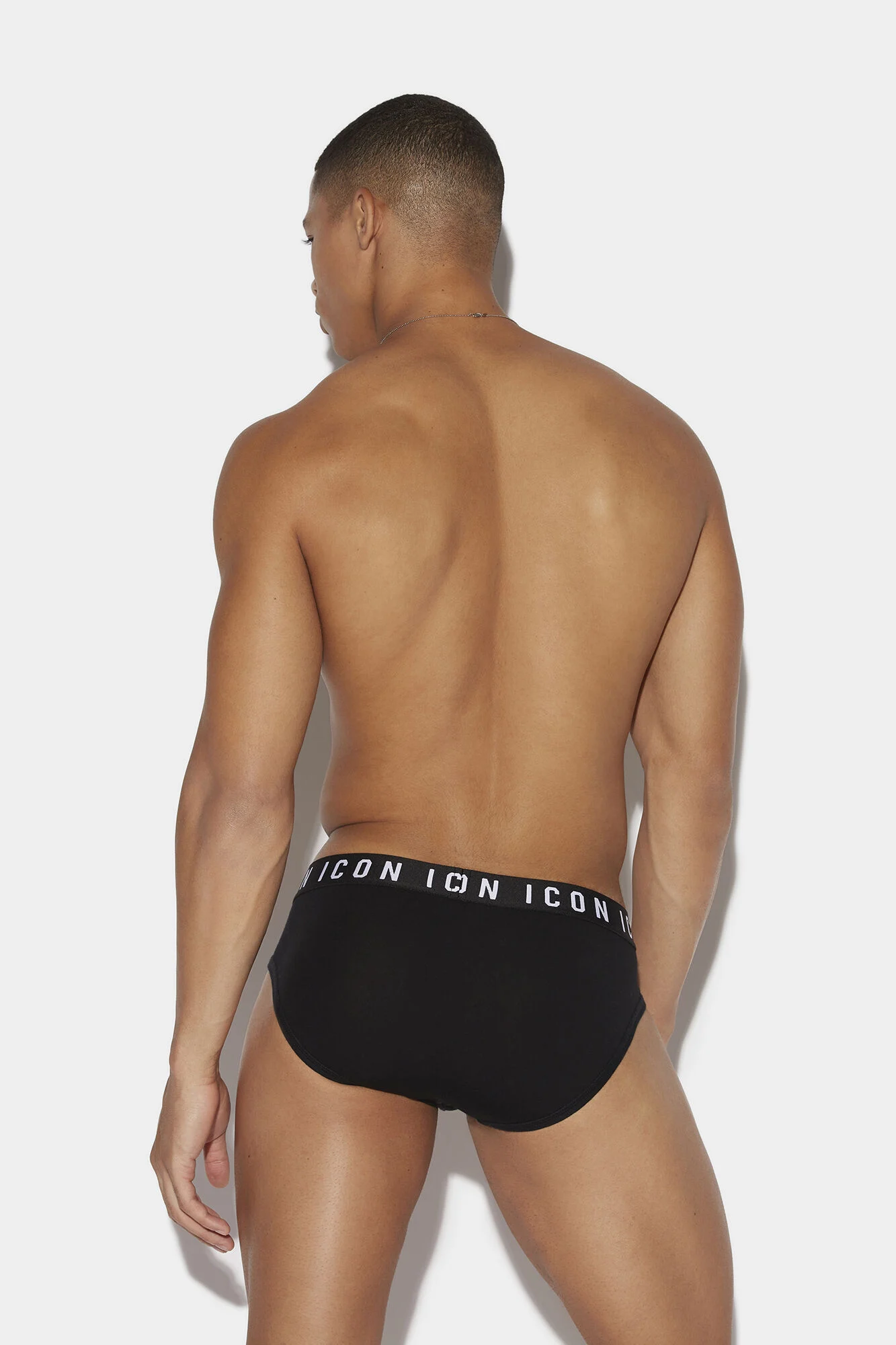 Icon Brief