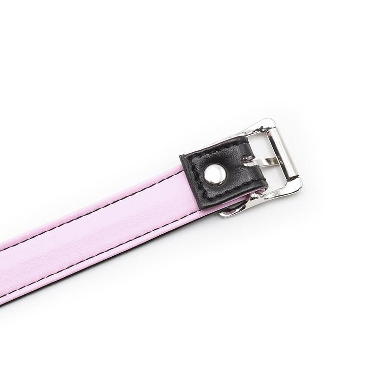 Silicone Ball Gag With Leather Straps