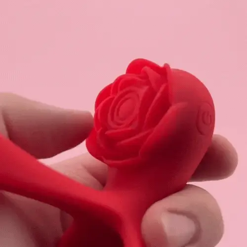 Dual Romance Standing Doggy Double Penis Rings Combined with Rose Clitoral Stimulator (<40 dB)