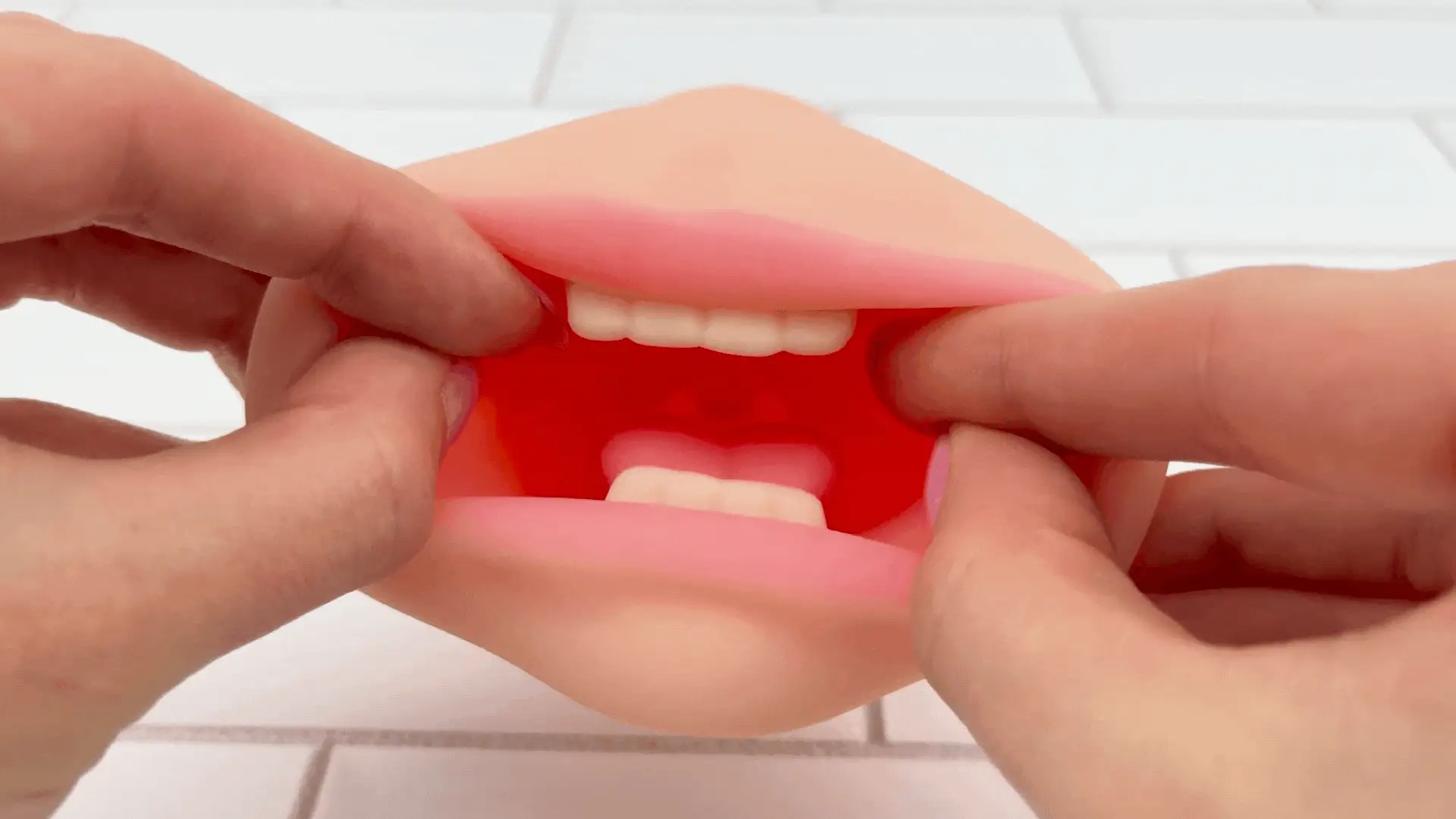 Blowjob and Pussy Dual Ended Masturbator - Realistic Sensations!